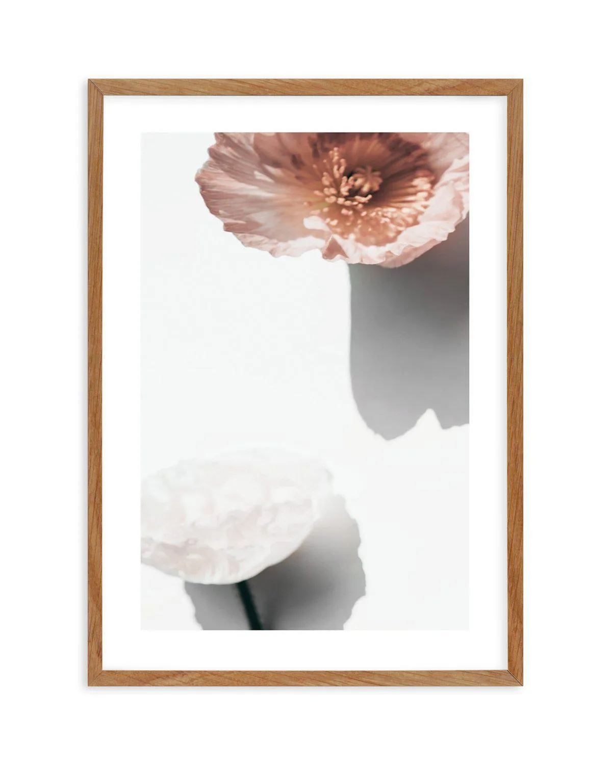 Abstract Poppies IV Art Print