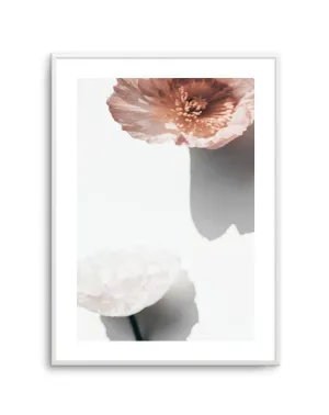 Abstract Poppies IV Art Print
