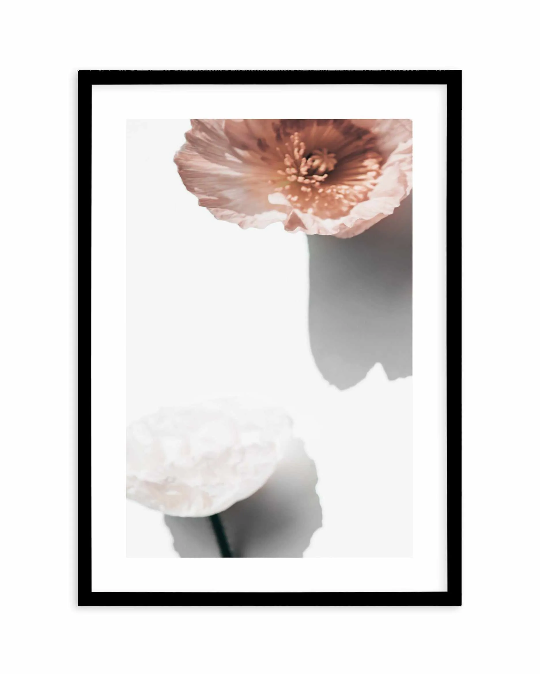 Abstract Poppies IV Art Print