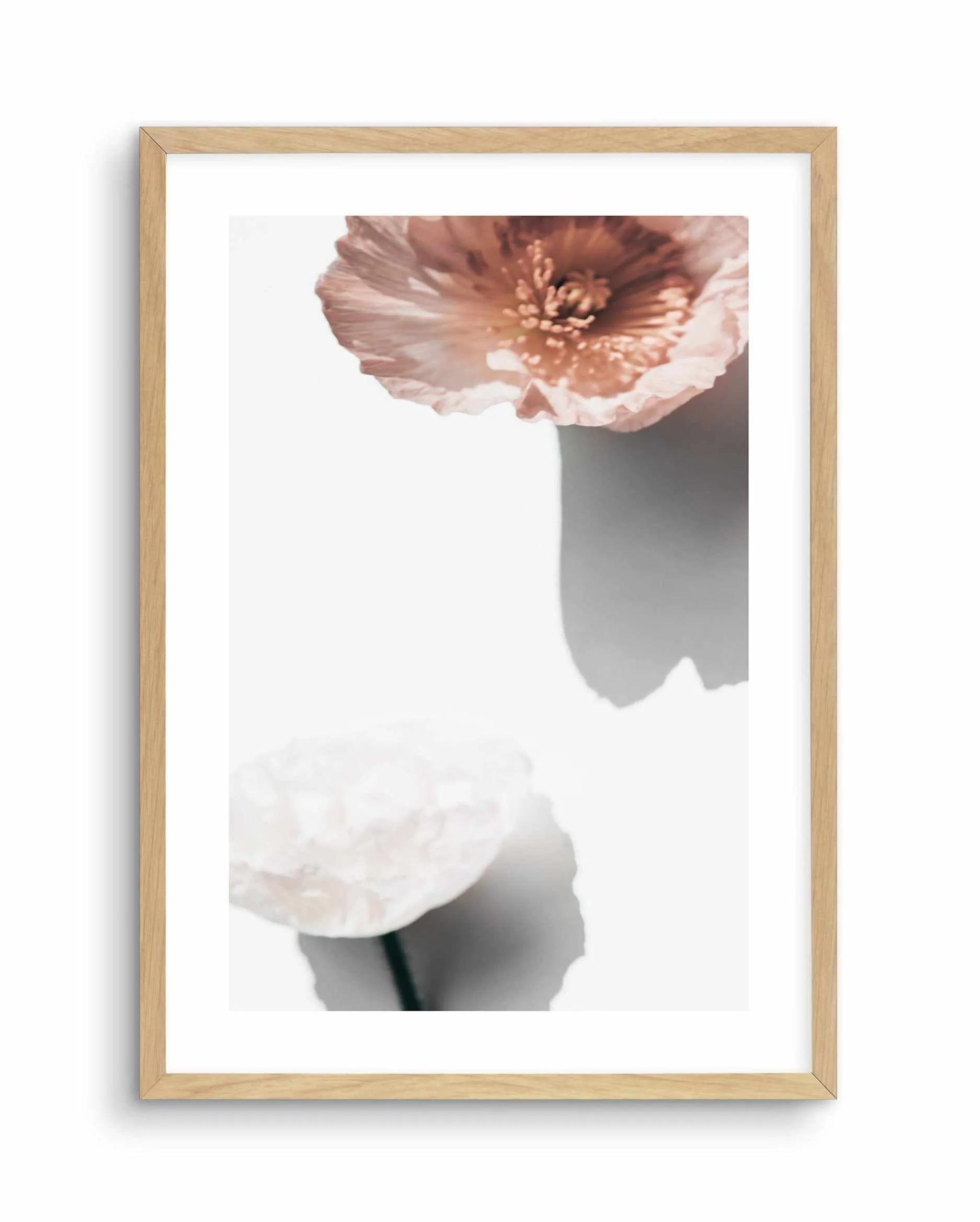 Abstract Poppies IV Art Print