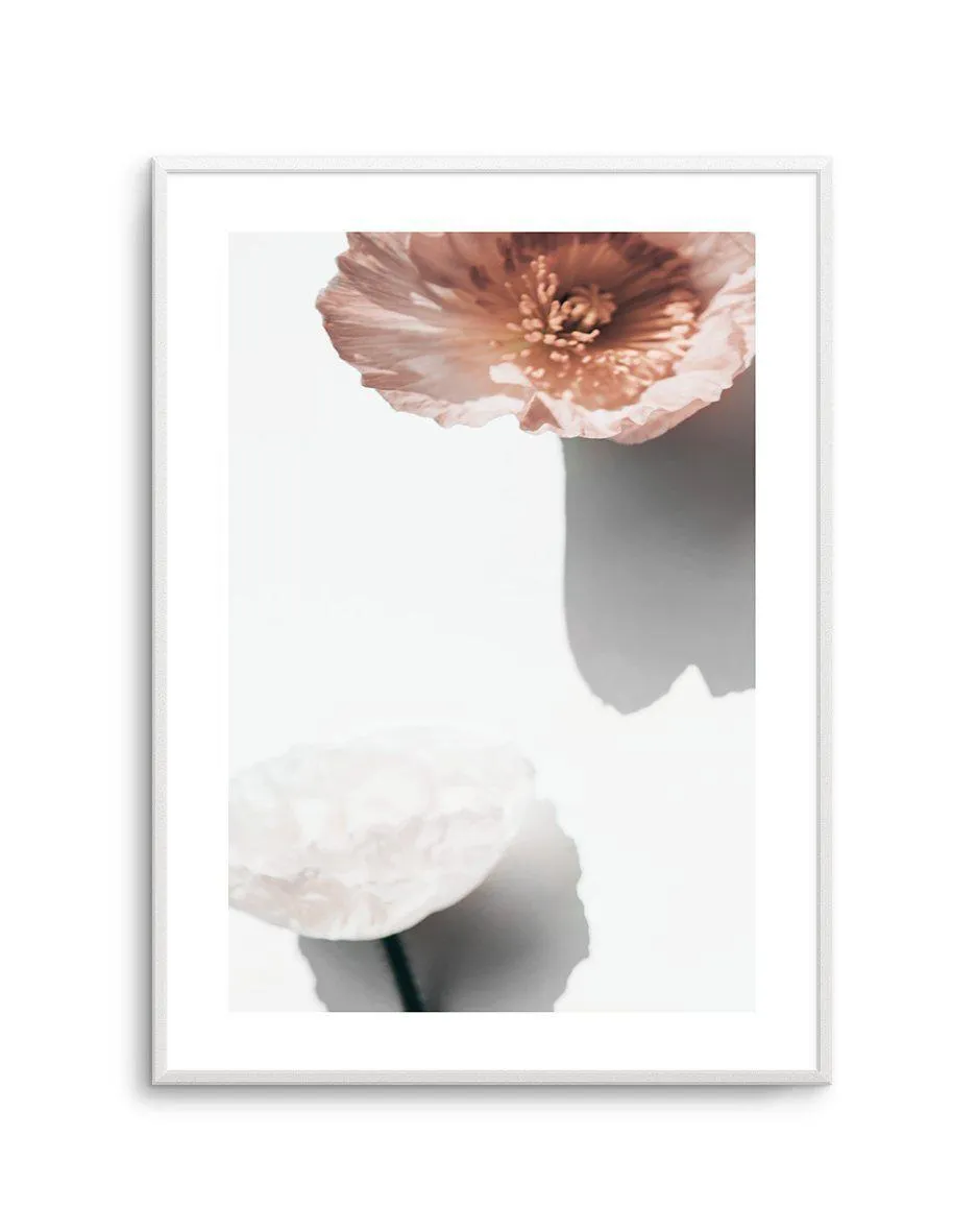 Abstract Poppies IV Art Print