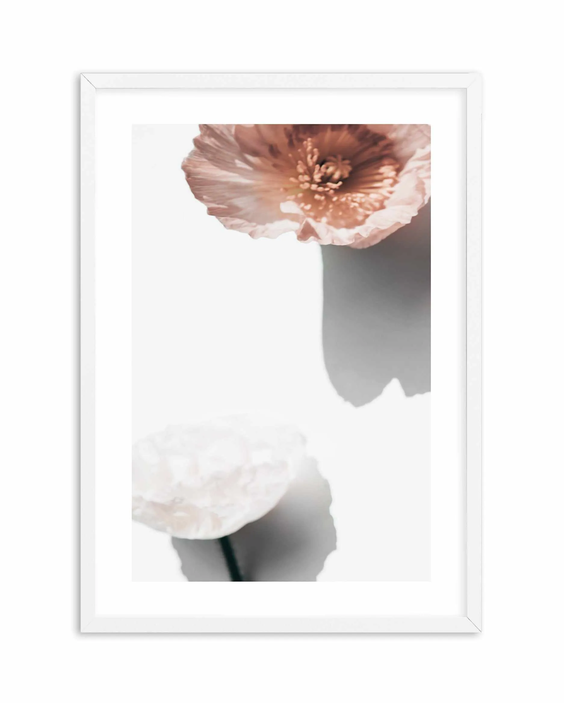 Abstract Poppies IV Art Print