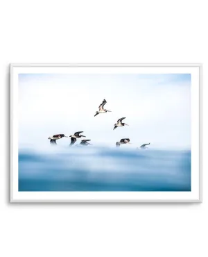 As They Fly Art Print