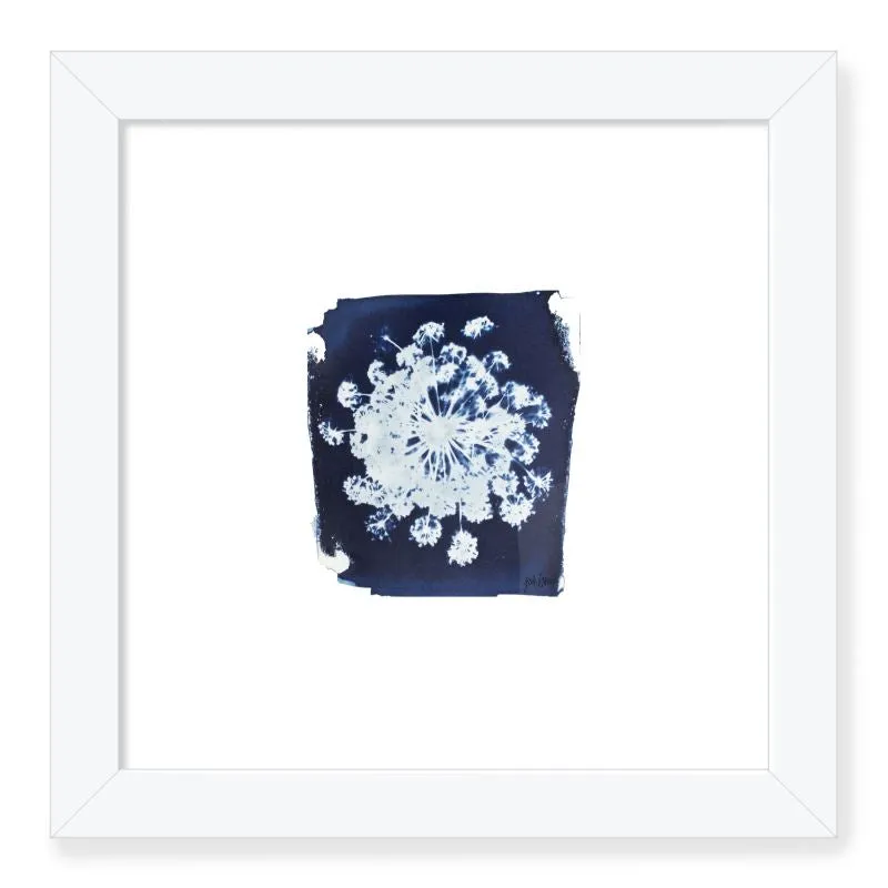 Carrot Flower Framed Print